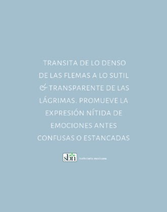 F16 Fórmula Blanca - Imagen 3