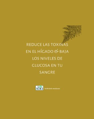 F7 Fórmula Prodigiosa - Imagen 3