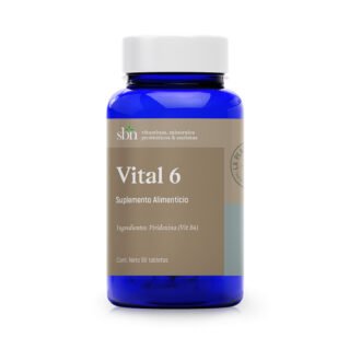 16 - Vital 6