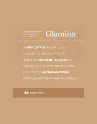 11- Glumina - Imagen 3