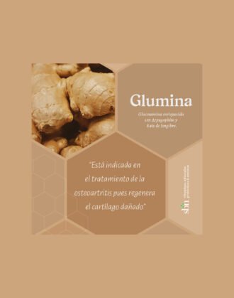 11- Glumina - Imagen 4