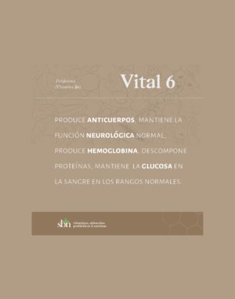 16 - Vital 6 - Imagen 2