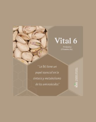16 - Vital 6 - Imagen 3