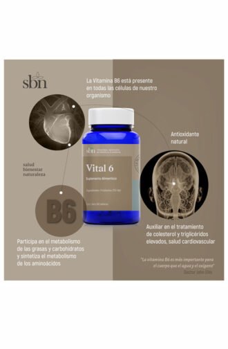 16 - Vital 6 - Imagen 5