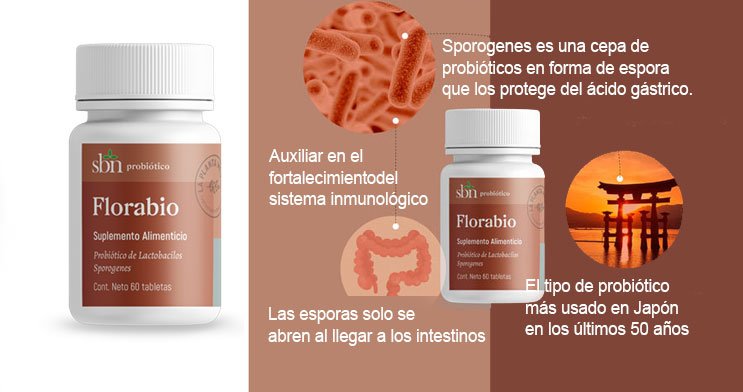 florabioblog-mailchimp