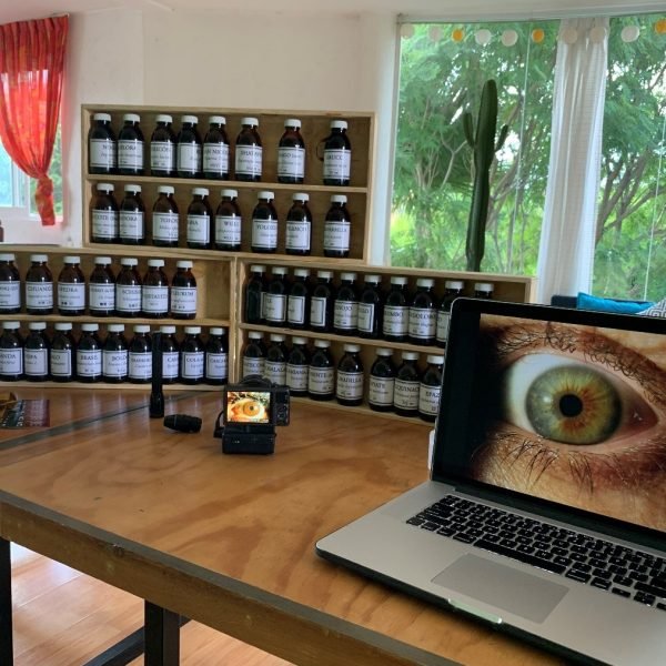 consult002 consult002